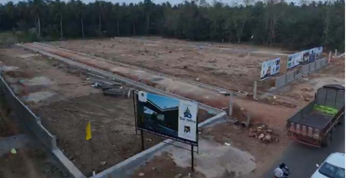Vishal Crown Beautiful Avenue Plantation