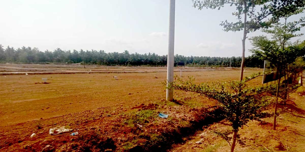 Vishal Granduer 3 Acres Park